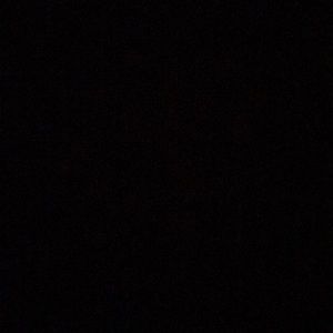 Meet your Posher, Sal